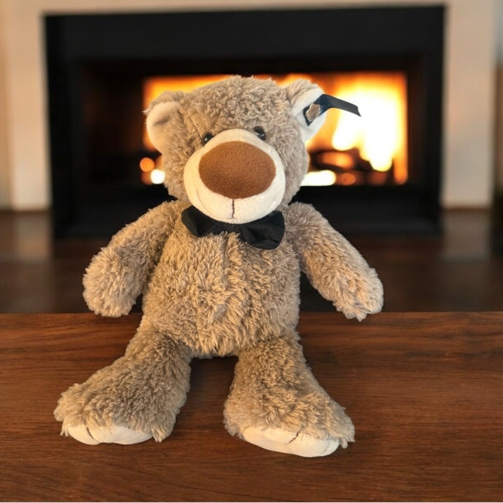 Florists' Transworld Delivery FTD Fleurop Germany Teddy Beat Plush Gray 10”